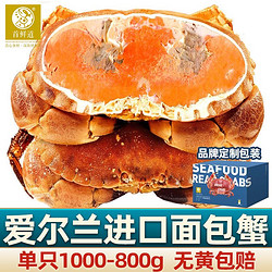首鲜道 面包蟹鲜活冷冻海鲜水产黄金蟹800-1000g/只