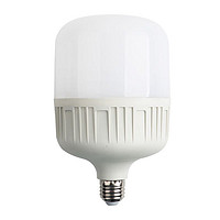 罗翔 LED节能灯泡 5W 白光