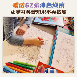 小澈麻麻：给孩子的果蔬观察笔记（水果+蔬菜 2册套装）原创高品质 随书62张涂色线稿+2张大幅精美海报！
