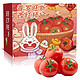 京地达 山东普罗旺斯西红柿4.5斤彩箱装自然熟沙瓢番茄新鲜蔬菜 京东直达