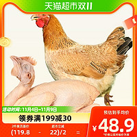 88VIP：WENS 温氏 天露三黄鸡1kg散养土鸡农村慢养走地鸡正宗土鸡肉生鲜食品