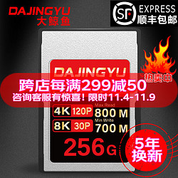 DAJINGYU 大鲸鱼cfa卡CFexpressTypeA存储卡适用索尼a1 A7 FX3 FX6 256G黑金PRO卡 标配 存储卡