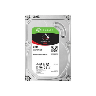 SEAGATE 希捷 酷狼IronWolf Pro系列 3.5英寸 NAS硬盘 4TB（CMR、7200rpm、256MB）ST4000NE001