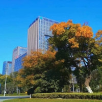 春节后半段、元旦、周末不加价！泰州日航酒店 豪华房1晚（含2大1小早餐+温泉/餐饮券2选1）