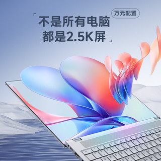 DERE 戴睿 16英寸 银色（Intel-N95、Intel集成显卡、16GB、1TB+无机械硬盘、2560*1600、IPS、60Hz、A16pro）