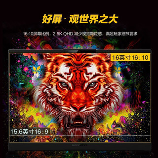  MECHREVO/机械革命 RTX4060-8G 笔记本电脑  2560*1600 R7-7435H RTX 4060 灰色 165Hz 16GB