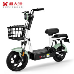 PALLA 新大洲 泡泡 新国标电动车