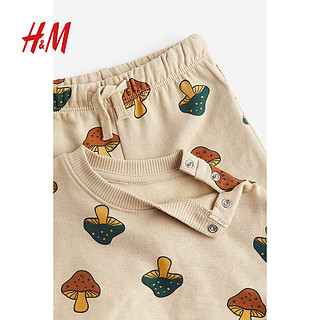 H&M HM童装婴儿套装2件式柔软舒适长袖卫衣长裤1205325