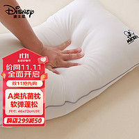 Disney 迪士尼 枕头颈椎枕芯抗菌枕护颈高枕学生宿舍睡眠枕头夏天46*72cm一只装