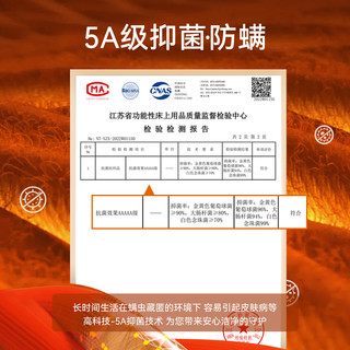 保暖内衣女士加绒加厚单件上衣内穿秋衣冬季发热长袖内搭打底衫女