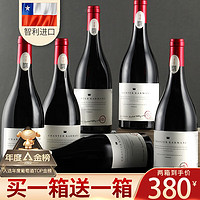 轩唐 Carmina 卡曼尼 智利佳美娜（Carmenere）干型红葡萄酒 6瓶*750ml套装