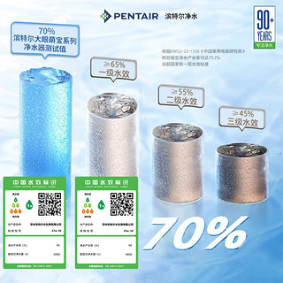 滨特尔（pentair） 净水器家用直饮净水机厨下大流量智能显示反渗透双出水无桶纯水机 E5+IH1000-a管线机+S160前置