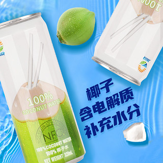 九日冰祖椰子水纯椰青水越南100%椰子汁NFC鲜榨椰汁饮料