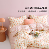 百丽丝 水星集团40s全棉亲肤四季可用单件被套印花被套居家床品