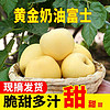 京果源 山东烟台奶油富士苹果 黄金苹果 脆甜 奶油苹果9斤果径85mm+