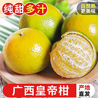 探味君 广西皇帝柑 当季时令橘桔子贡柑新鲜水果 3斤 中果(单果50-55mm）