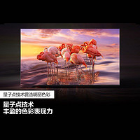 SAMSUNG 三星 QA55Q60CAJXXZ 55英寸 QLED量子点 智能语音 32G大内存 4K超高清电视