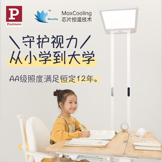 德国柏曼 P柏曼护眼台灯全光谱大路灯儿童卧室阅读立式灯学习落地台灯 骑士I 暖白光