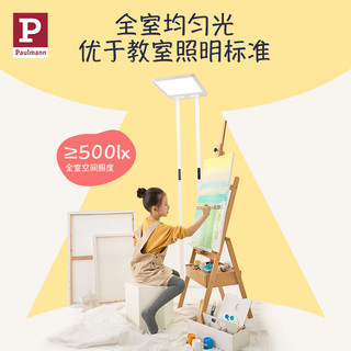 德国柏曼 P柏曼护眼台灯全光谱大路灯儿童卧室阅读立式灯学习落地台灯 骑士I 暖白光