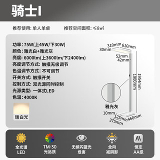 德国柏曼 P柏曼护眼台灯全光谱大路灯儿童卧室阅读立式灯学习落地台灯 骑士I 暖白光