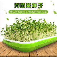 静候花开芽苗菜育苗托盘豆芽发芽盘无土栽培室内水培蔬菜设备种植芽菜豆苗 一套加密盆（无盖）+纸配种4包