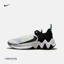 nike耐克字母哥giannisimmortality2男款实战篮球鞋dm0826
