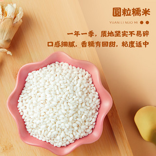 十月稻田 糯米400g五谷杂粮粽子棕子米江米红豆糯米粥