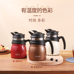 Timolino 帝诺 美国Timolino保温泡茶壶保温水壶家用带过滤网帝诺养生壶功夫花茶