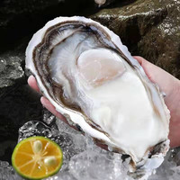 牧海翁 乳山生蚝鲜活特大牡蛎 XXXXL 净重4斤