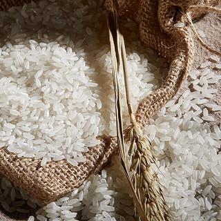 稻可道 五常稻香米5kg 东北五常大米10斤