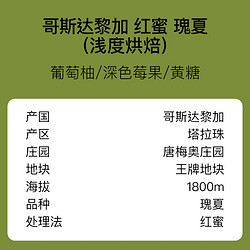 AOKKA 澳咖 哥斯达黎加唐梅奥庄园红蜜瑰夏咖啡豆新鲜烘焙单品手冲黑咖啡125g 浅度烘焙 125g x 不磨粉