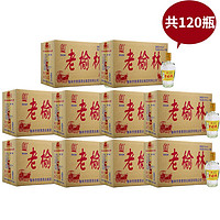 老榆林 【单瓶6.8元】老榆林浓香型白酒10箱共120瓶240ml团购45度