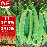 寿禾 荷兰豆种子大荚扁豆四季蔬菜种籽 潍育系列银辉荷兰豆种子50g