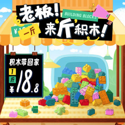 京东 双十一钜惠 18.8一斤积木带回家！