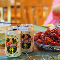 珠江啤酒 12度经典老珠江啤酒330mL*6罐 国产鲜啤酒小包装罐装