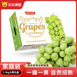 Joy Tree 欢乐果园 阳光玫瑰葡萄 香印青提 甄选2.5kg  生鲜水果