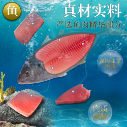 佳乐滋进口银勺猫罐头主食罐猫零食营养增肥金枪鱼小鱼干湿粮12罐