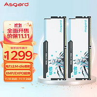 Asgard 阿斯加特 48GB(24GBx2)套装 DDR5 6800 台式机内存 RGB灯条-吹雪