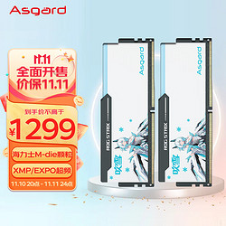 Asgard 阿斯加特 48GB(24GBx2)套装 DDR5 6800 台式机内存 RGB灯条-吹雪