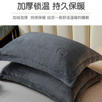牧莎白 牛奶绒枕套一对装珊瑚绒枕巾单人枕头套48cmx74cm单个纯棉枕芯套2