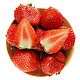 时茂 奶油草莓 4斤装 单果20g+（下单拍1赠送1斤直发5斤）