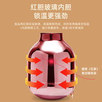 FGA 富光保温壶大容量家用保温水壶按压式暖水瓶玻璃胆宿舍便携热水壶