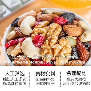 TANGPIN 棠品 每日坚果500g混合坚果干果果仁小包儿童零食新货