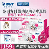 BWT 倍世 德国原装进口bwt镁离子滤芯家用过滤水壶滤芯倍世净水壶滤芯12只