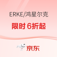 20点开始、促销活动：京东鸿星尔克双十一，爆款单品6折起~