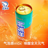 北冰洋 低糖配方桔汁果汁汽水碳酸饮料 310ml*24听