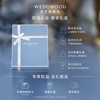 WEDGWOOD威基伍德意大利浮雕四人食骨瓷餐具套组21件套