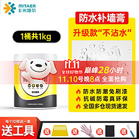 炫嘉米塔尔 防水补墙膏 1kg（约1.8平）