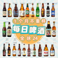 ERGOUPUB 全球精酿 精酿啤酒套装  瓶装 330ml