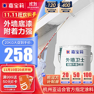 CARPOLY 嘉宝莉 外墙卫士墙面漆 白色 20L